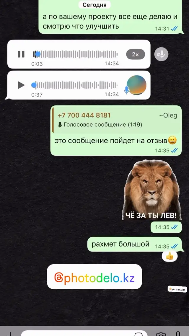 Video preview